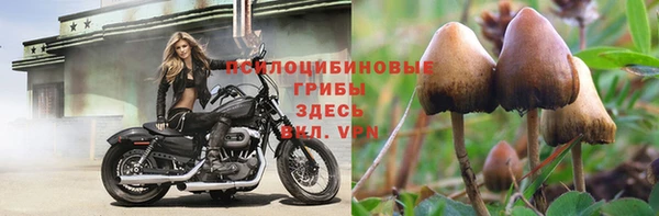 каннабис Алзамай