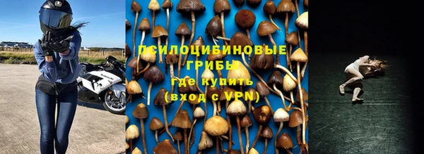 каннабис Алзамай
